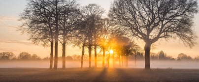 Afbeelding Bouw continu aan vertrouwen in je programma