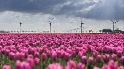 Afbeelding Publiek-private samenwerking brengt waterstofambities H2GO dichterbij