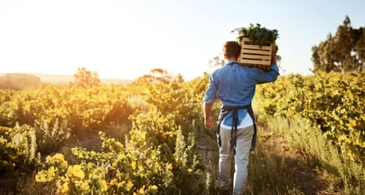 Afbeelding Coaching brengt leiderschapsteam Foodvalley weer in verbinding