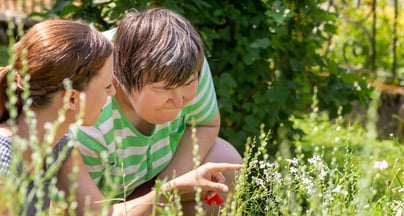 Afbeelding Herijking strategische koers De Passerel