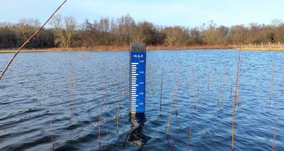 Afbeelding Veranderende bestuurlijke dynamiek bij waterschappen