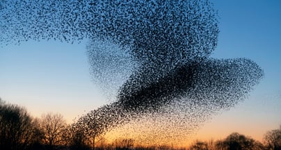 Afbeelding Sterk leiderschap begint met ruimte voor menselijkheid