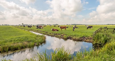 Afbeelding Zó krijg je weer beweging in het landelijk gebied