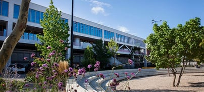 Afbeelding Vacature Directeur TwynstraGudde